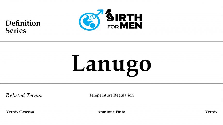 Lanugo-blog