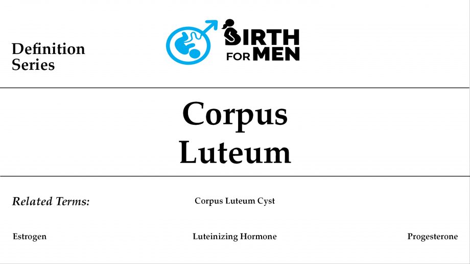 Corpus-Luteum.img