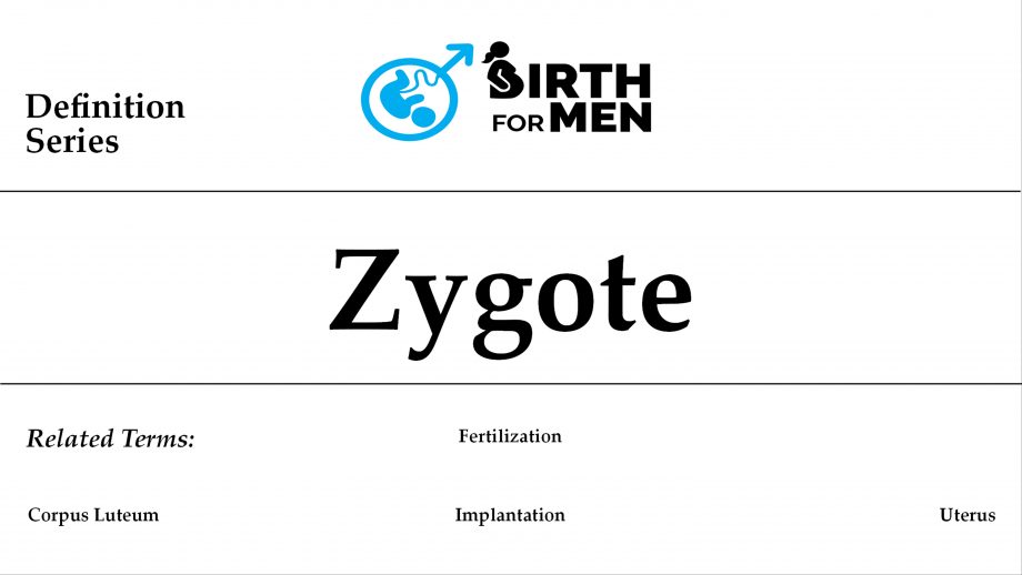 Zygote.img