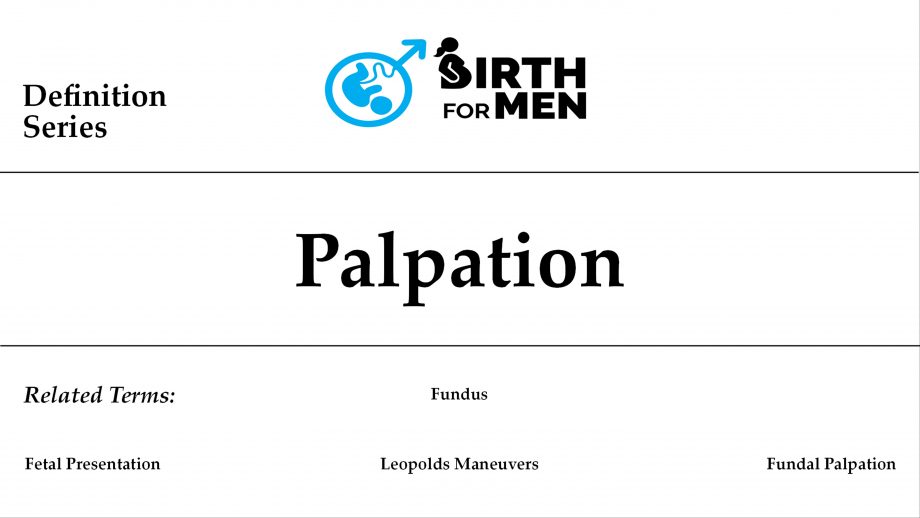 Palpation.img