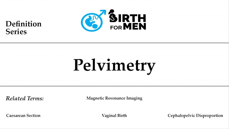 Pelvimetry.img