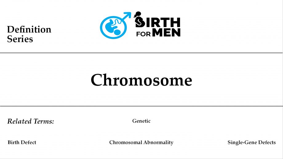 chromosome.img