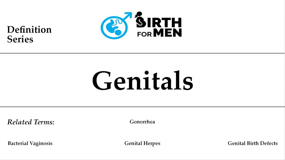 genetals.img