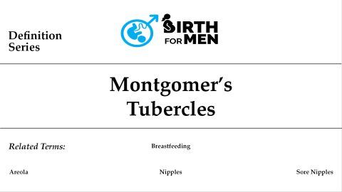 Montgomery’s Tubercles Definition – BirthForMen